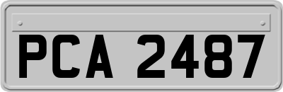 PCA2487