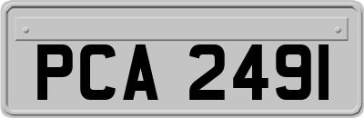 PCA2491
