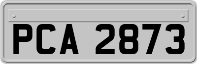 PCA2873