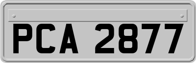 PCA2877