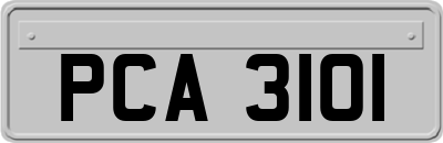 PCA3101