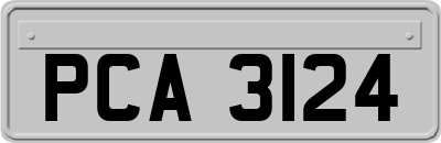 PCA3124