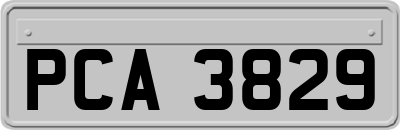 PCA3829
