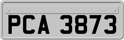 PCA3873