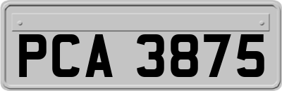 PCA3875
