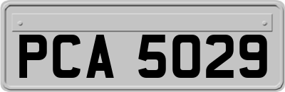 PCA5029