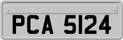 PCA5124