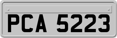 PCA5223