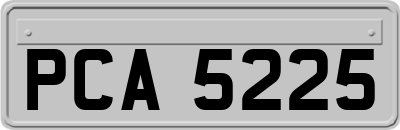 PCA5225