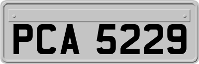 PCA5229