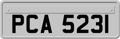PCA5231