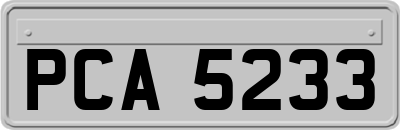 PCA5233