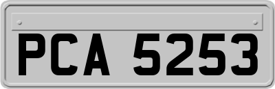 PCA5253