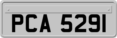 PCA5291