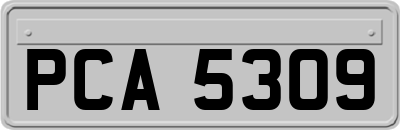 PCA5309