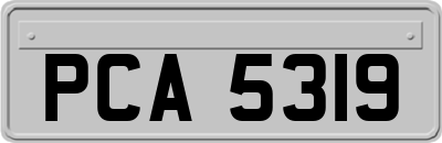 PCA5319
