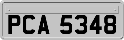 PCA5348