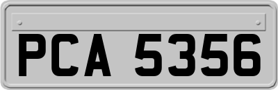 PCA5356