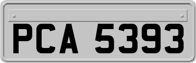 PCA5393