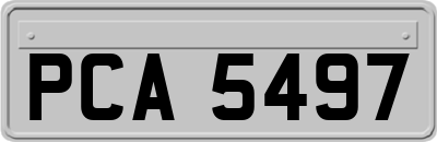 PCA5497