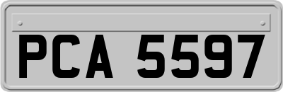 PCA5597