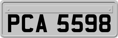 PCA5598