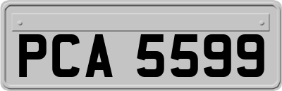 PCA5599
