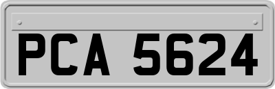 PCA5624
