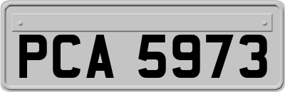 PCA5973