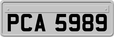 PCA5989