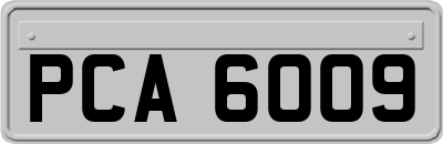 PCA6009