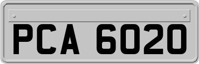 PCA6020