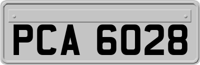PCA6028