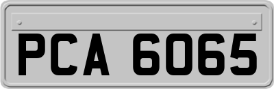 PCA6065