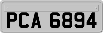 PCA6894