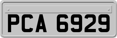PCA6929