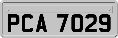 PCA7029