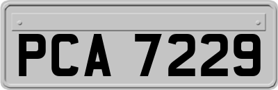 PCA7229