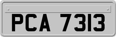 PCA7313