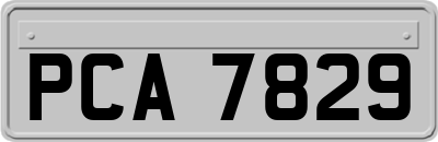PCA7829