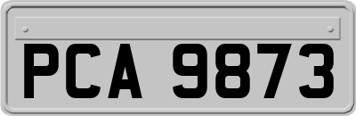PCA9873