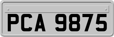 PCA9875