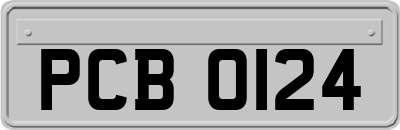 PCB0124