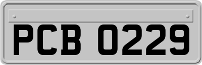 PCB0229