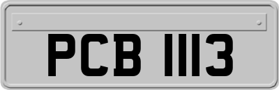 PCB1113