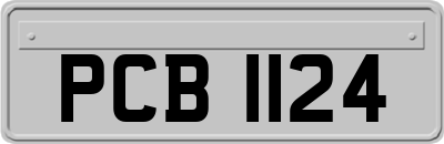 PCB1124
