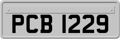 PCB1229