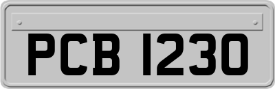 PCB1230