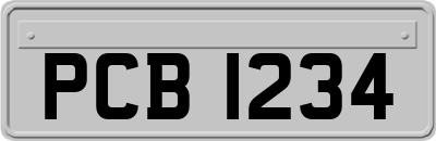 PCB1234