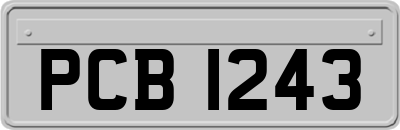 PCB1243